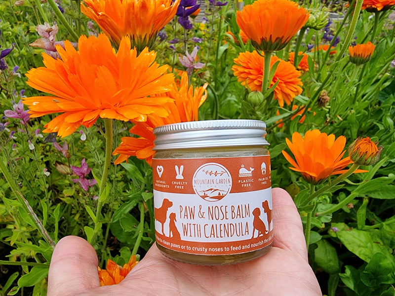 Natural Nose & Paw Balm With Calendula