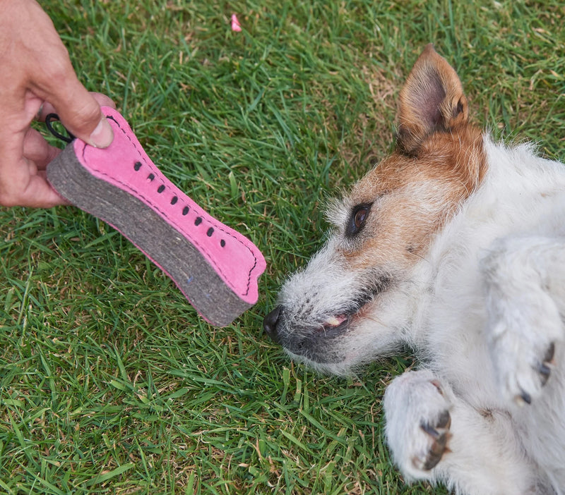 Pinkie Bone Eco Dog Toy