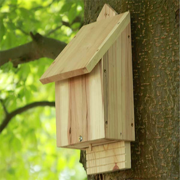 Natural Timber Bat Box